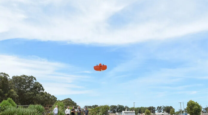 Con Inteligencia Artificial y drones, ARBA sale a detectar construcciones no declaradas