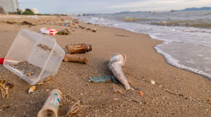 Casi el 80% de los residuos encontrados en las playas bonaerenses son plásticos