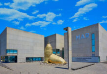 Luego del furor del streaming del Conicet llega la muestra Vidas Submarinas al Museo MAR