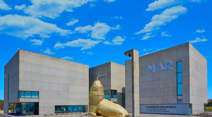 Luego del furor del streaming del Conicet llega la muestra Vidas Submarinas al Museo MAR