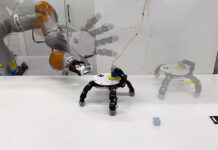 Científicos crearon una mano robótica súper versátil: desmontable, simétrica y puede tener cinco o seis dedos