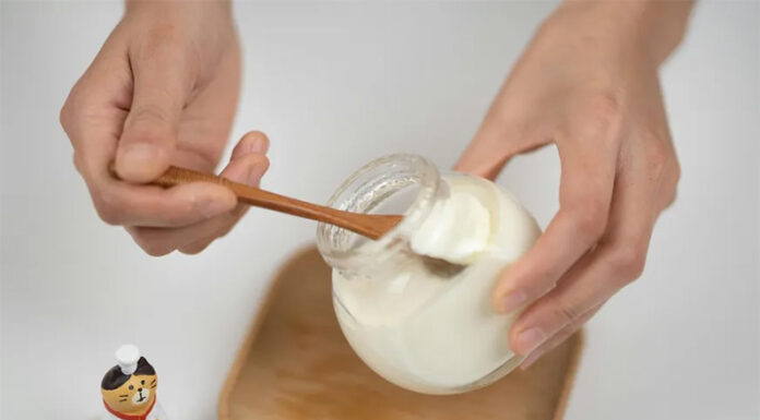 Por qué consumir microbios vivos todos los días puede cambiar tu salud