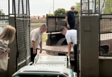 En Zárate, el municipio entregó camas de internación al Hospital Zonal “Virgen del Carmen”