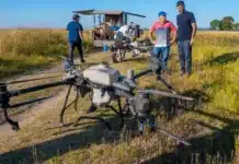 Barigüí: en Junín usan drones para combatir a la “mosca que muerde”