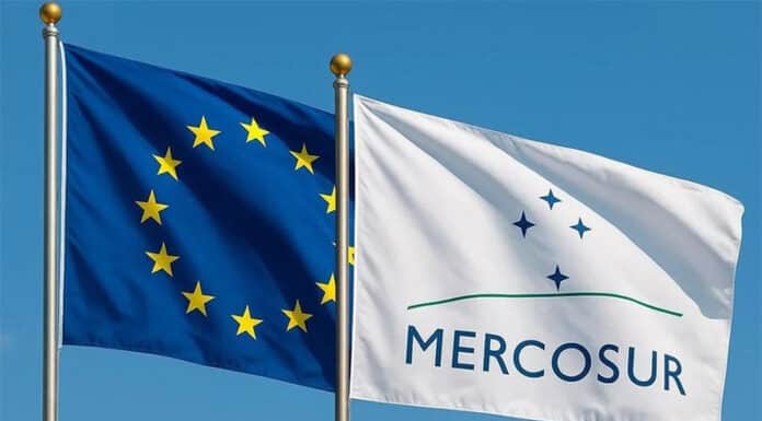 Acuerdo Mercosur-UE: ¿qué oportunidades se abren para las PyMEs argentinas?