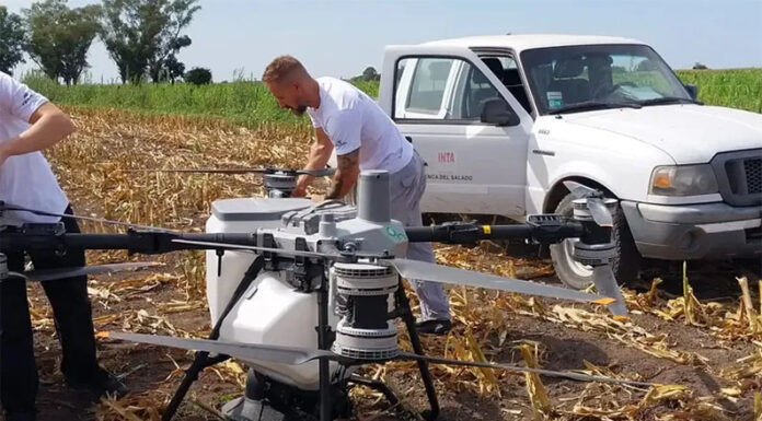 Con drones, INTA Chascomús realizó un ensayo de siembra aérea