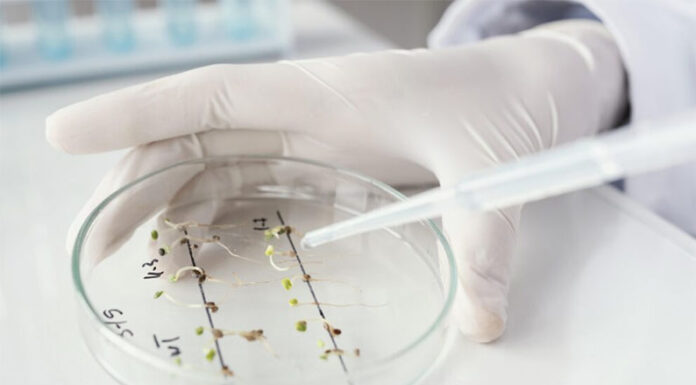 Biotecnología, la novedosa carrera de la UBA que puede estudiarse en 4 facultades