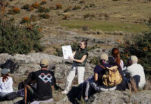 CAMEX: cómo transformar una salida a la naturaleza en una experiencia científica