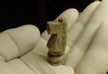 Hallaron una pieza de ajedrez entre los restos de la batalla de la Vuelta de Obligado