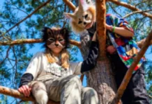 CUANDO LA CONFUSIÓN SE PRESENTA COMO IDENTIDAD