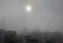 “Entramos en la temporada de nieblas y neblinas”, anunció el SMN: recomendaciones para circular