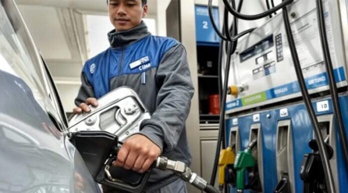 El Gobierno suspenderá la suba de impuestos a los combustibles para contener los precios