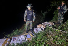 Prefectura detectó actividad de caza ilegal durante un operativo en Entre Ríos