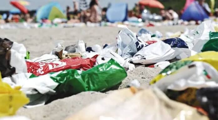 La Provincia junto al Conicet monitorearán el estado de la Costa Atlántica