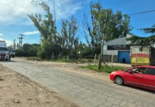 En Zárate, insólito por una poda particular que provocó la rotura de cables se dejó sin luz a varios barrios