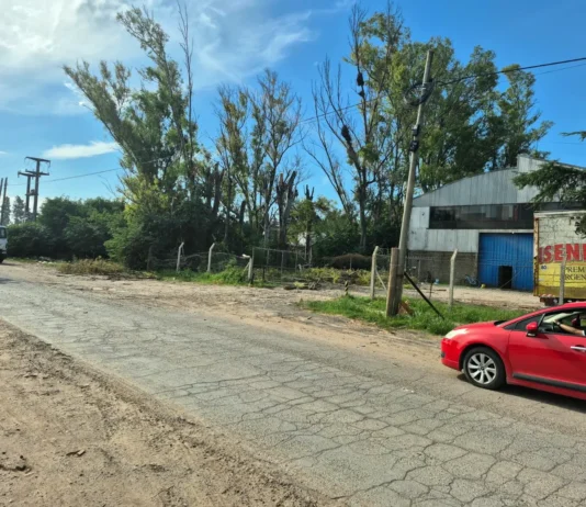 En Zárate, insólito por una poda particular que provocó la rotura de cables se dejó sin luz a varios barrios