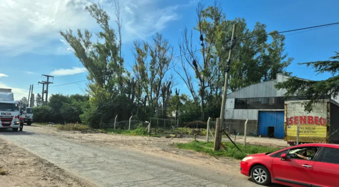 En Zárate, realiza una poda particular que provocó la rotura de cables y dejó sin luz a varios barrios