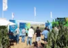 Desde Zárate Bayer presentó en Expoagro una estrategia integral para reducir la brecha productiva y potenciar el rendimiento agrícola