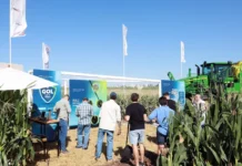 Desde Zárate Bayer presentó en Expoagro una estrategia integral para reducir la brecha productiva y potenciar el rendimiento agrícola