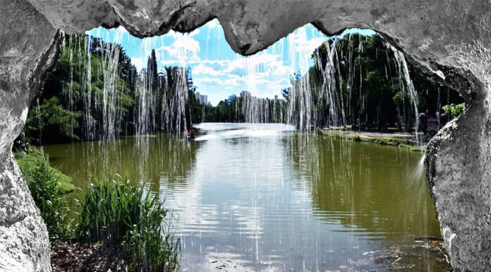 La Plata: encuentran en el Lago del Bosque un parásito del que no había registro en el mundo