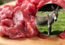 El debate culinario-económico del momento: burro vs vaca, ventajas y desventajas de cada carne