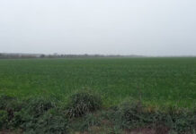 Sin condiciones Niño o Niña, se espera un otoño tranquilo para el agro