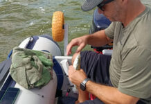 El regreso del pejerrey a Chascomús, atracción para pescadores y turistas