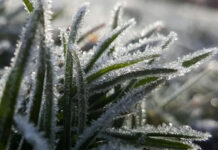 Ingreso de aire polar, más lluvias y descenso térmico: se vienen las primeras heladas