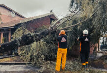 Un domingo no apto para barriletes: llega un temporal con vientos de hasta 100 km/h