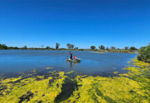 Estudian las características de canteras abandonadas para evaluar la siembra de pejerreyes