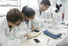 Provincia destaca la figura del investigador en salud: producción de conocimiento en el sistema sanitario