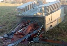 En Zárate vuelven a denunciar nuevo acto de vandalismo en la red eléctrica de la Cooperativa