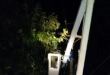 En Zárate: los vientos fuertes de las últimas horas de domingo afectaron la red eléctrica urbana y rural