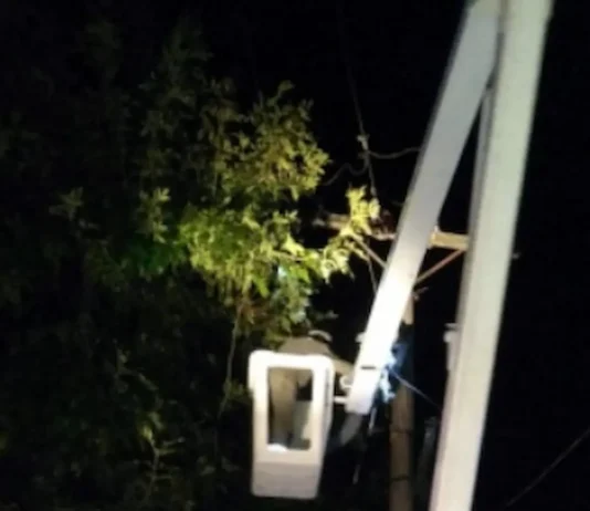 En Zárate: los vientos fuertes de las últimas horas de domingo afectaron la red eléctrica urbana y rural