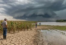 La llegada de un Super Niño preocupa a la región por una posible alteración climática