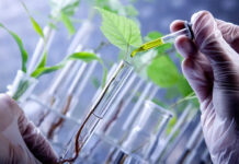 Buscan crear un polo biotech provincial con base en el interior bonaerense