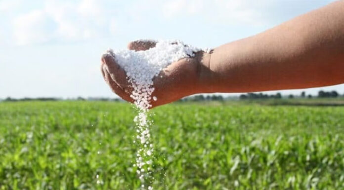 El enorme potencial de un negocio que une a Vaca Muerta y el campo argentino: anuncios de inversión por más de USD 4.000 millones