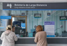 Trenes Argentinos habilitó la venta de pasajes para junio: cómo sacar boleto para viajar con mascotas