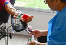 El Gobierno actualizó el sistema de donación de sangre: no más pedido de dadores de familiares