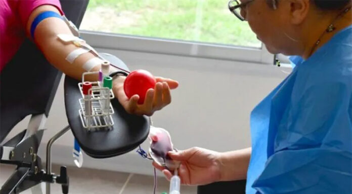 El Gobierno actualizó el sistema de donación de sangre: no más pedido de dadores de familiares