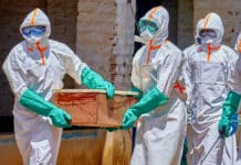 Brote de ébola: la SIDE detectó barcos que venían de África y activó un protocolo de prevención