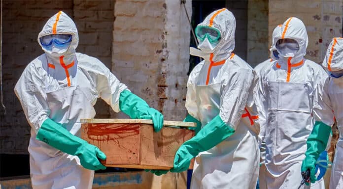 Brote de ébola: la SIDE detectó barcos que venían de África y activó un protocolo de prevención