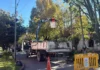 Zárate: el Municipio avanza con obras de iluminación y bacheo en dos calles