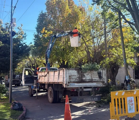 Zárate: el Municipio avanza con obras de iluminación y bacheo en dos calles
