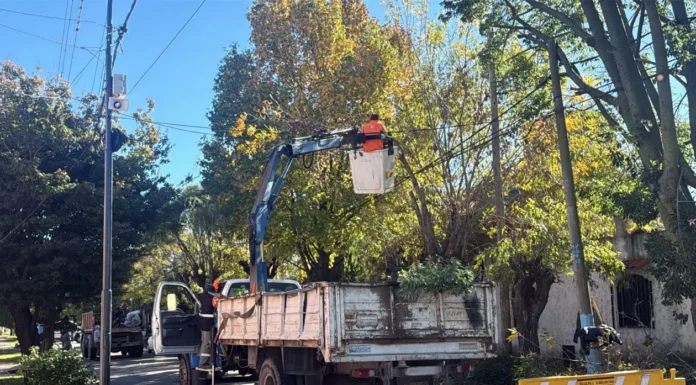 Zárate: el Municipio avanza con obras de iluminación y bacheo en dos calles