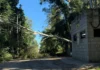 Zárate: se produjo una salida de servicio en zona rural por la caída de árbol dejó sin energía a varios barrios