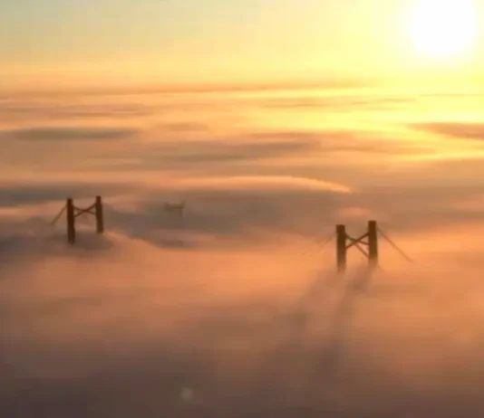 Zárate-Brazo Largo: Advertencia violeta por niebla y una impactante postal aérea del puente cubierto por un mar blanco