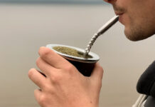 Yerba mate: cuáles son las diferencias entre las variedades con palo, sin palo, orgánicas y artesanales