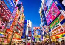 Récord histórico: más de 33.000 argentinos viajaron el año pasado a Japón