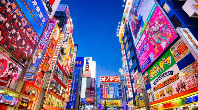 Récord histórico: más de 33.000 argentinos viajaron el año pasado a Japón